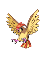pidgey animeeritud-pildid-gif